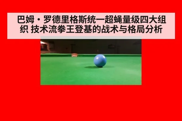 巴姆·罗德里格斯统一超蝇量级四大组织 技术流拳王登基的战术与格局分析